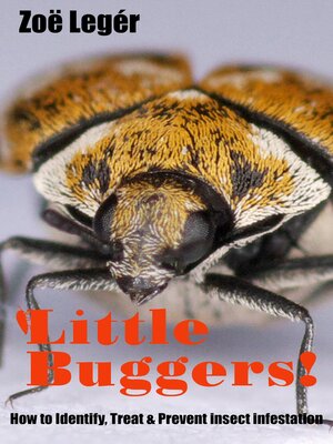 cover image of Little Buggers! How to identify, treat & prevent insect infestation